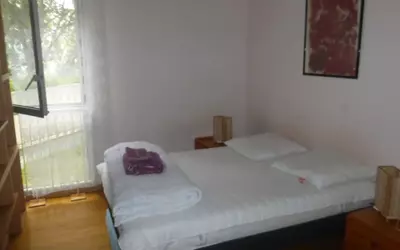 Montpellier (34000)