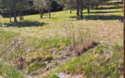 Serres (05700)