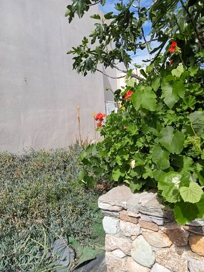 Vente maison 3 pièces Calvi (20260)