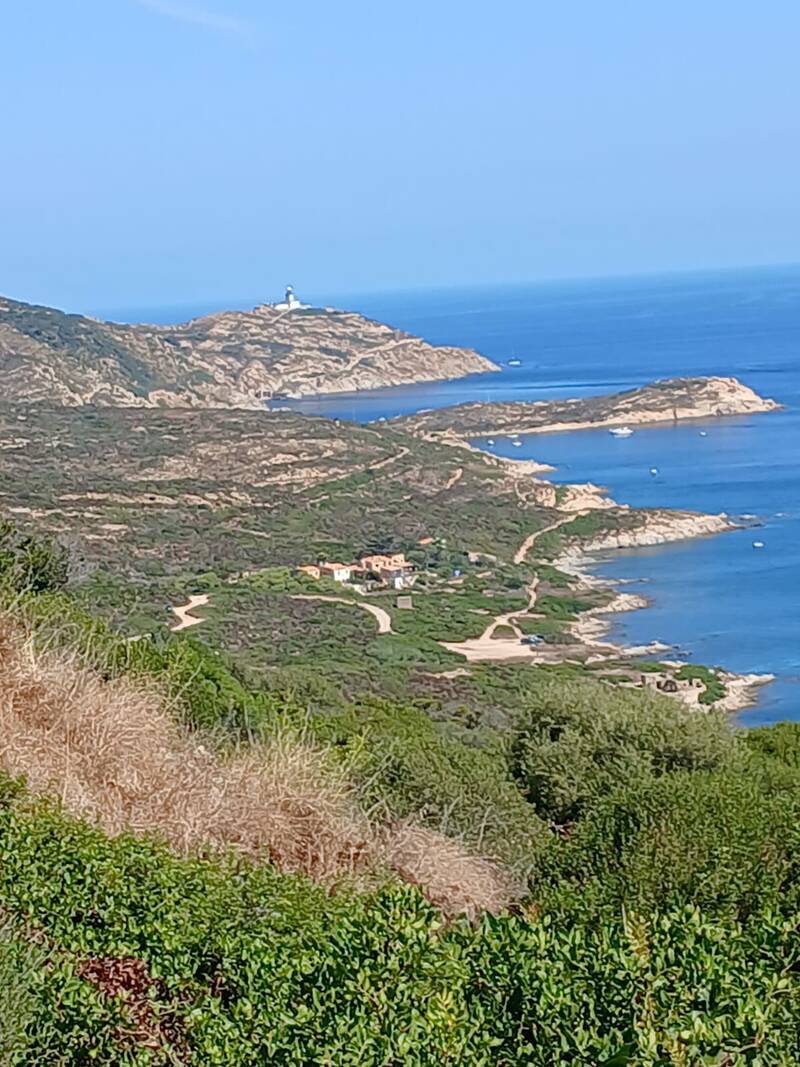 Calvi (20260)