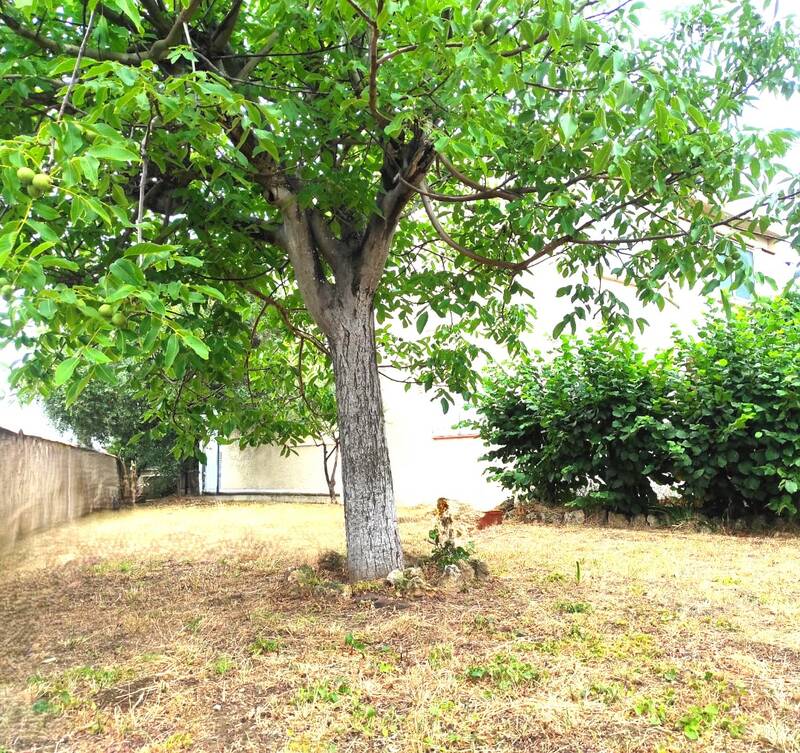 - 161 M² Au Sol