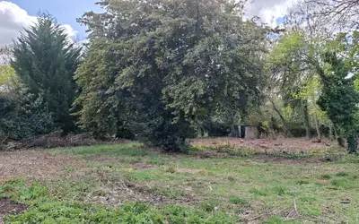 Boussy-Saint-Antoine (91800)