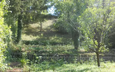 Sainte-Menehould (51800)