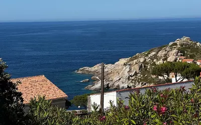 Calvi (20260)