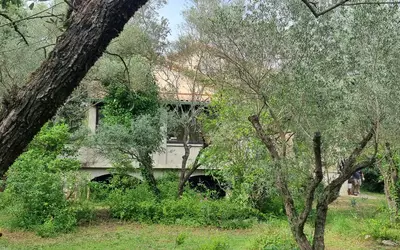 Saint-Vincent-De-Barbeyrargues (34730)