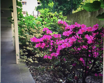 Vente appartement 3 pièces Paris 19e