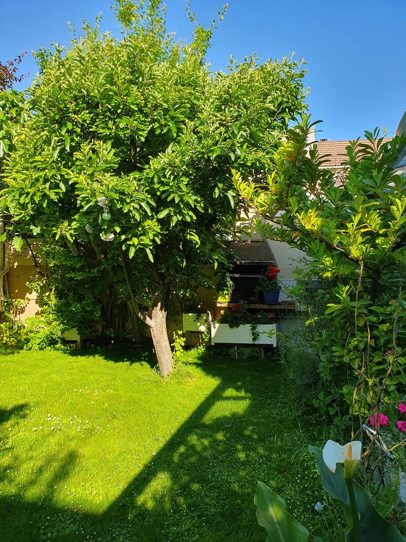 Romainville (93230)