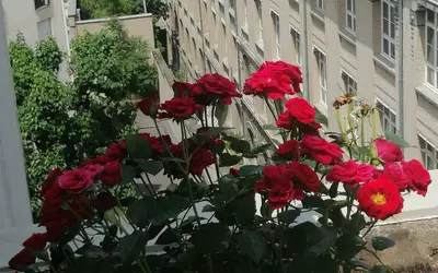 Paris 19E (75019)