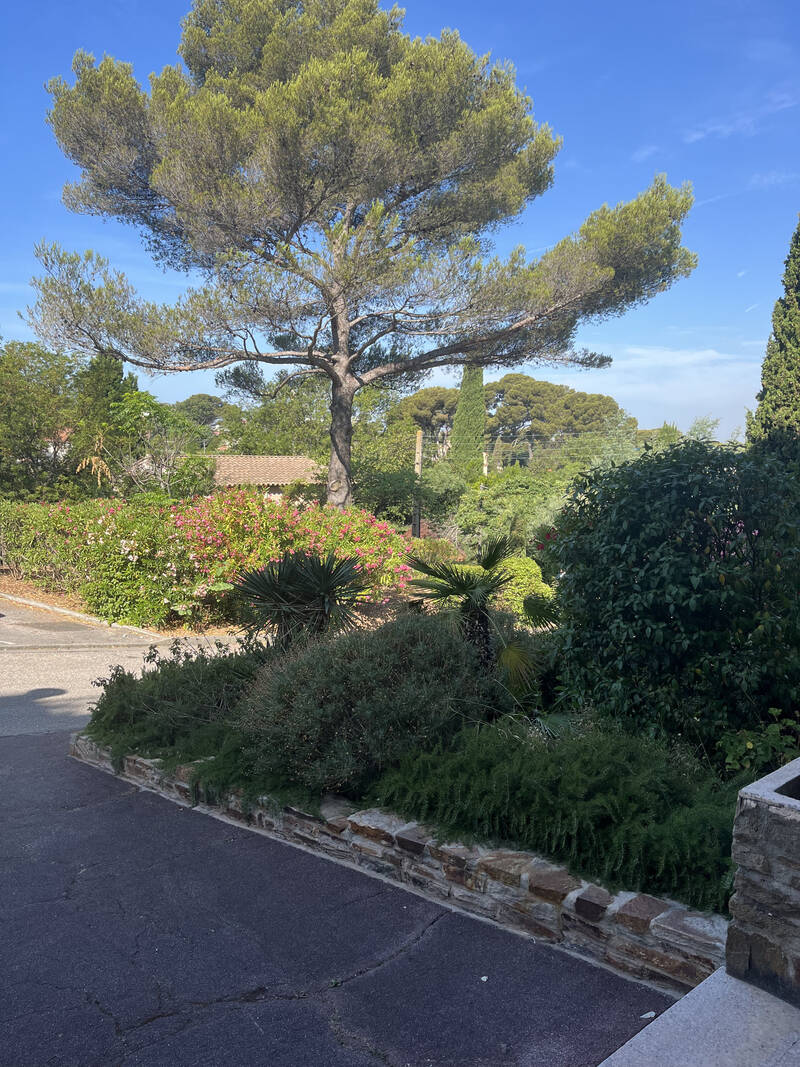 Toulon (83000)