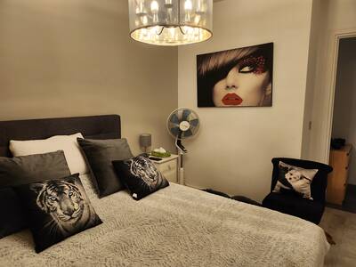 Vente appartement 5 pièces Caluire-et-Cuire (69300)