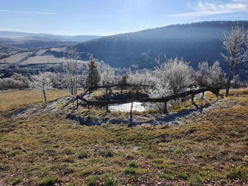 Combret (12370)