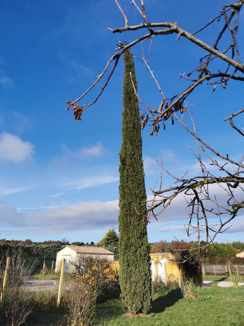 La Verdière (83560)