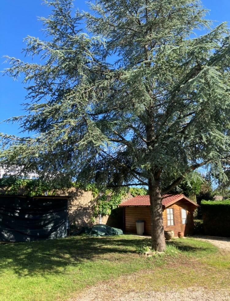 Lagord (17140)