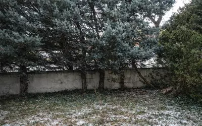 Issoire (63500)