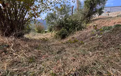 Vence (06140)