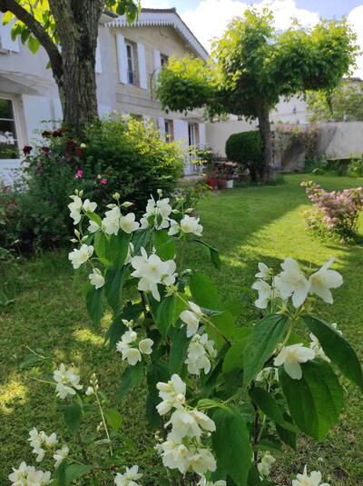 Vente maison 6 pièces Mombrier (33710)