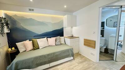 Vente appartement studio Aix-les-Bains (73100)