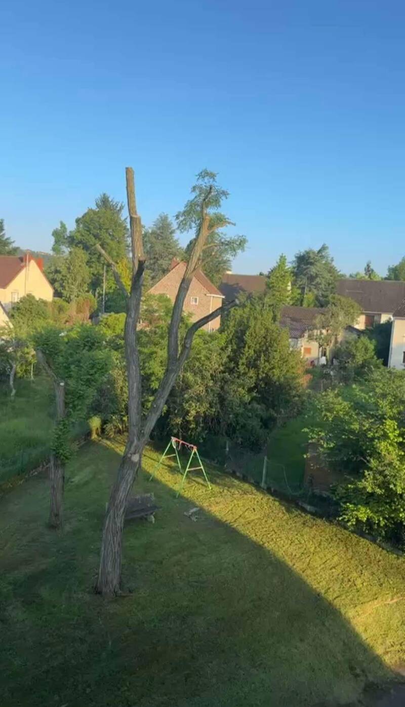 Désertines (03630)