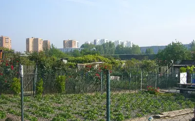 Aubervilliers (93300)
