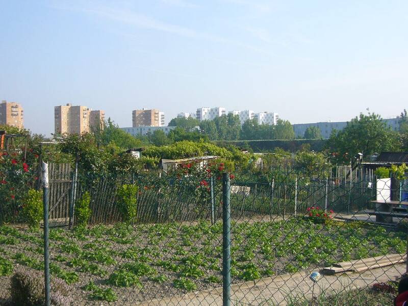 Aubervilliers (93300)