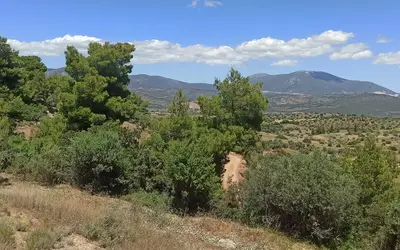Grèce
