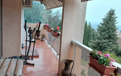Grasse