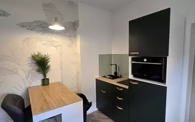 Fleury-Les-Aubrais (45400)