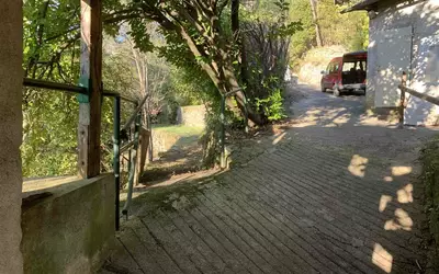 Vernon
