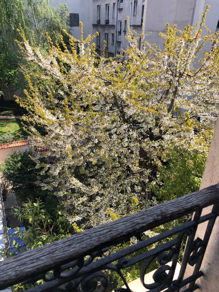 Montrouge (92120)