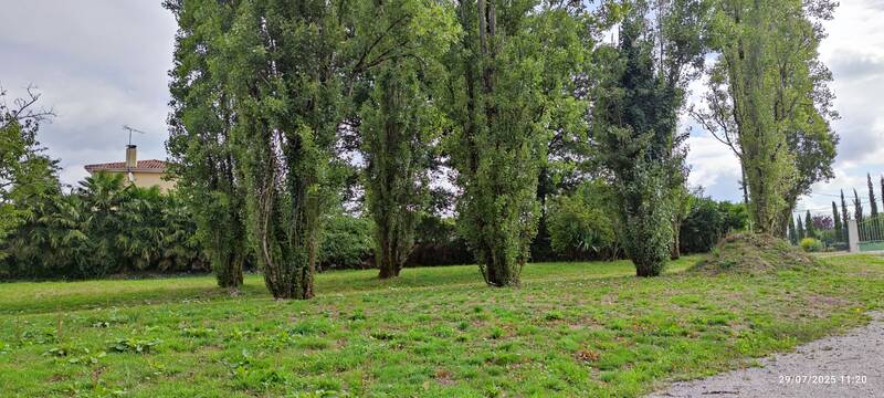 La Roche-Sur-Yon (85000)