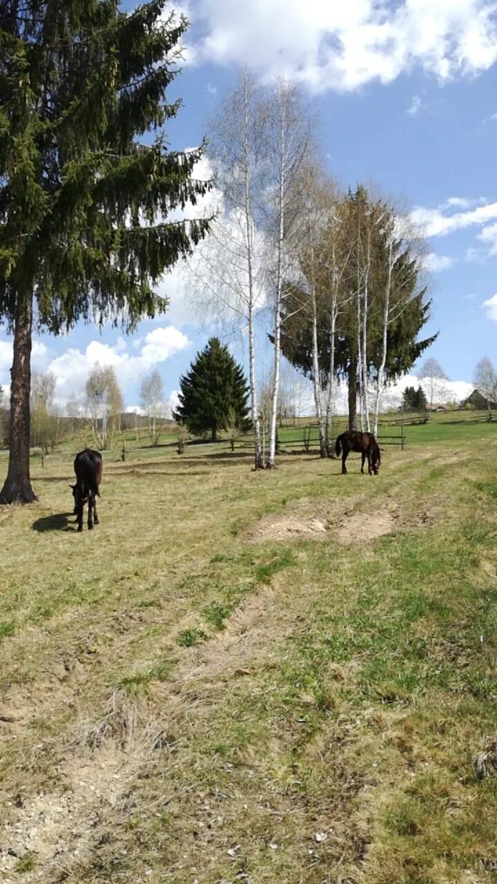 Roumanie