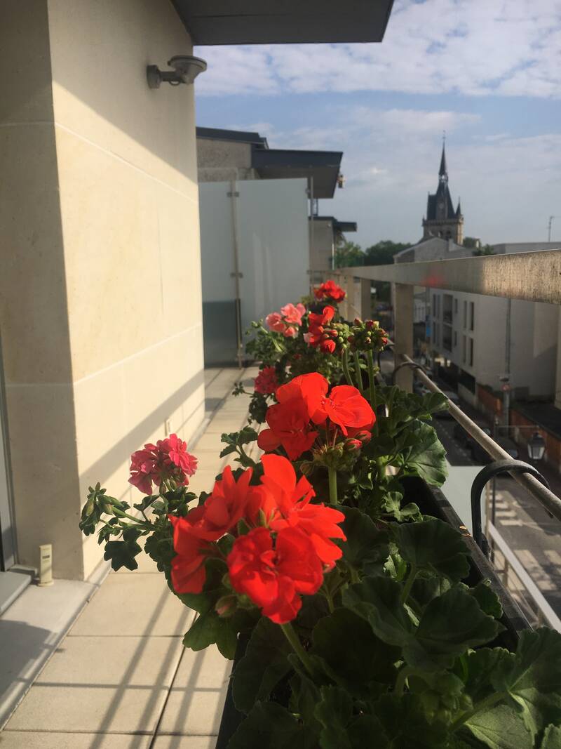 Maisons-Laffitte (78600)