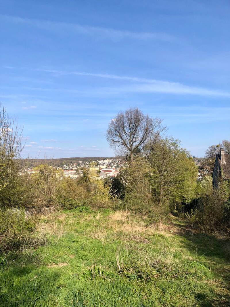 Thomery (77810)