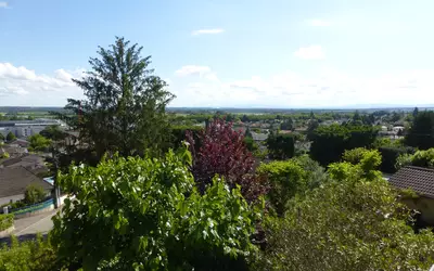 Montluel (01120)
