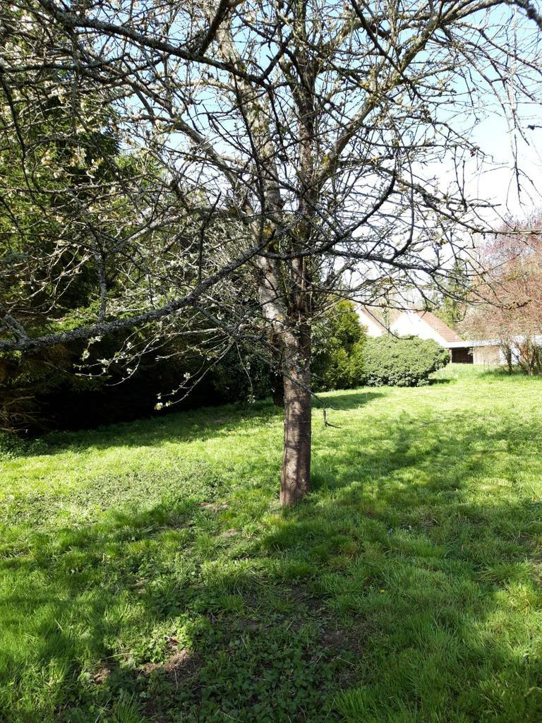 Saint-Cyr-Sur-Morin (77750)