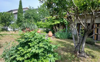 Givors (69700)