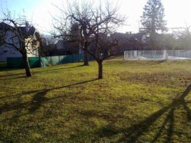Viry (74580)