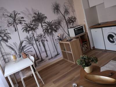 Vente appartement studio Paris 15e