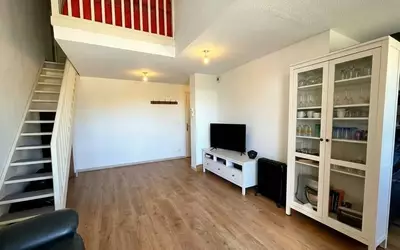 Frontignan (34110)