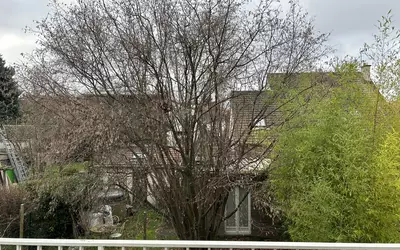 Nanterre (92000)