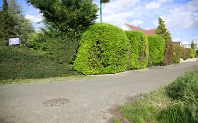 Wiwersheim (67370)