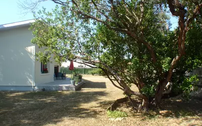 Rion-Des-Landes (40370)