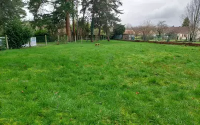 Avec Dépendance Coullons (45720)