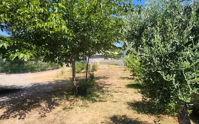 Brignoles (83170)