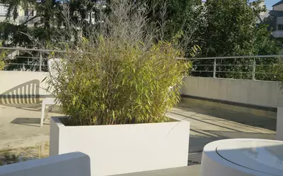Rosny-Sous-Bois (93110)