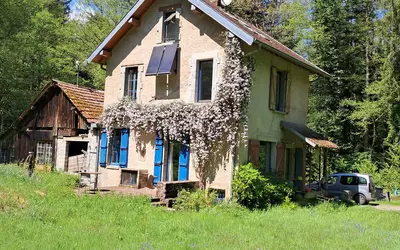 Celles-Sur-Plaine (88110)