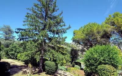 Le Cannet
