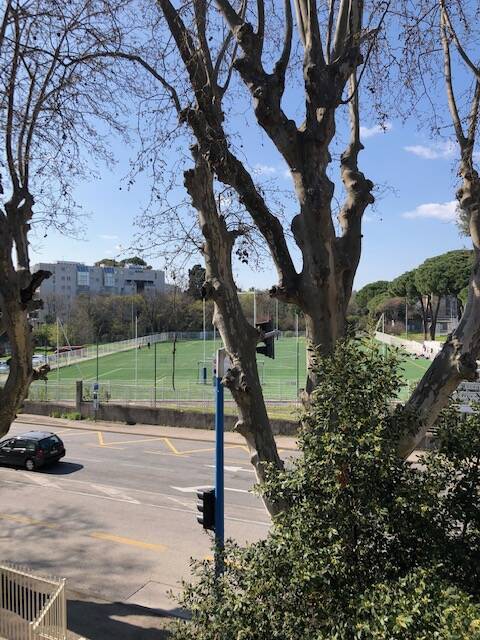 Montpellier (34000)
