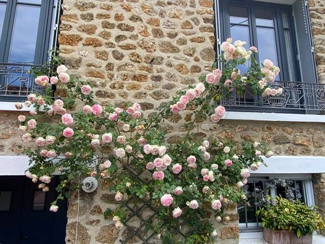 Le Chesnay-Rocquencourt (78150)