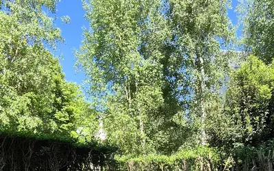 Sceaux (92330)